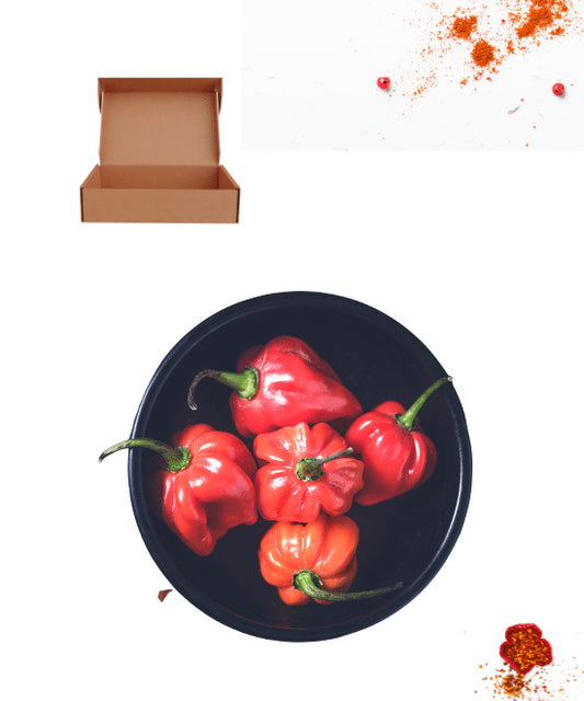 Ata Rodo or Scotch Bonnet or Hot Pepper – Box