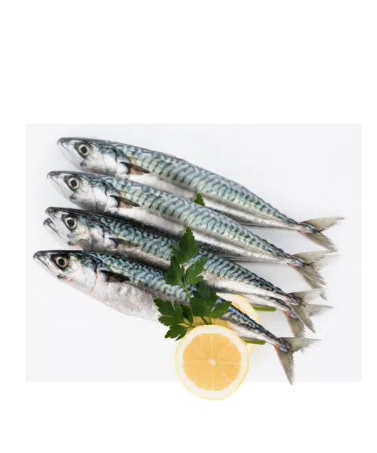 Whole Mackerel – Pack of 4