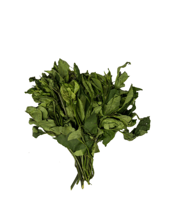 Fresh Ugu