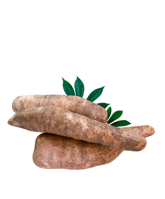 Cassava Per Kg