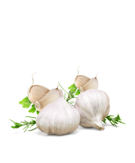 Fresh Garlic Pack of 4