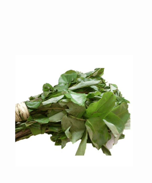 Fresh Oha – Bunch