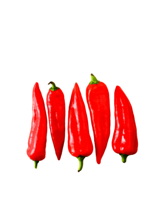 Long Red Pepper x 3