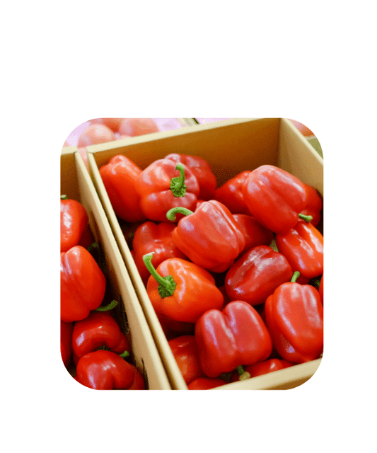 Red Cap Pepper 500g