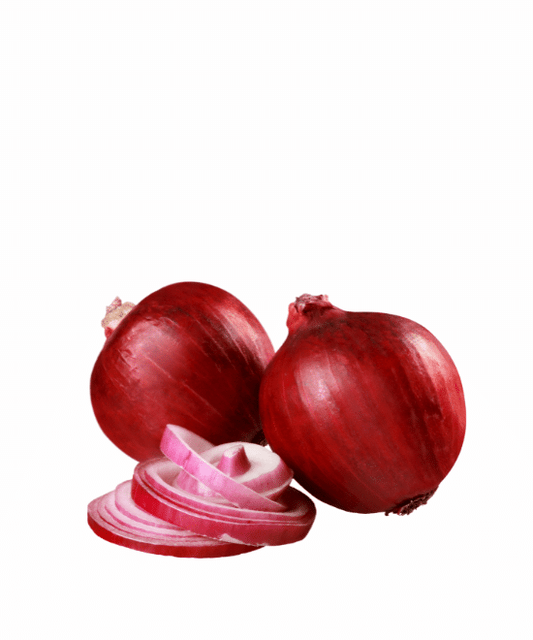 Red Onion Pack of 6