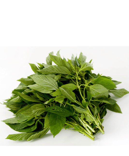fresh ewedu